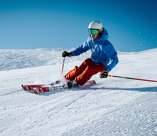 SKI SIMULATOR SKI SIMULATOR