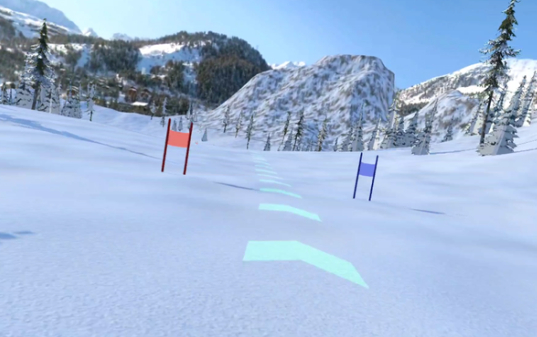 SKI SIMULATOR SKI SIMULATOR